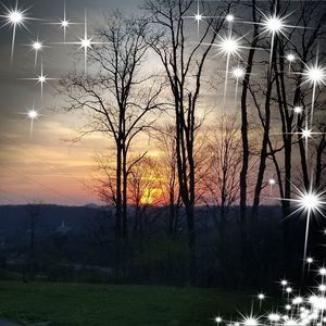 Meet your Posher, Jo beth